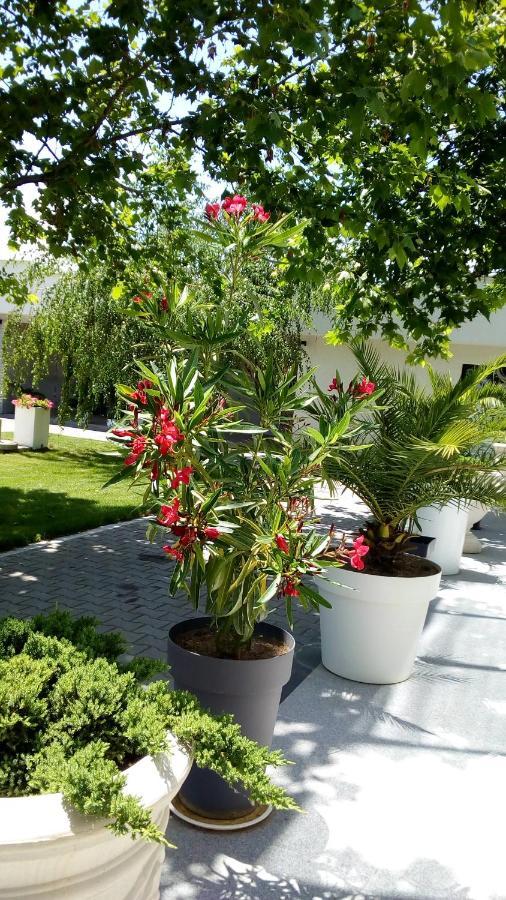 Mesecev Konak Nis Exterior foto
